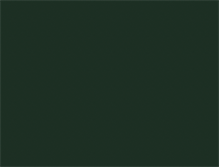 Tablet Screenshot of carlsberg.ro